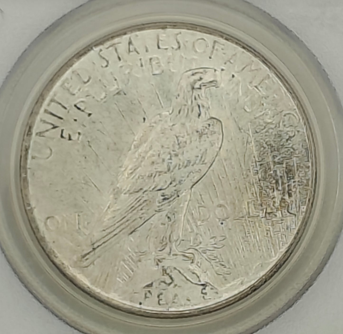 1924 Peace Dollar MS-64 PCGS Gold CAC (OGH)