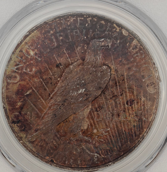 1922 Peace Dollar MS-64 PCGS (Beautiful Toning)
