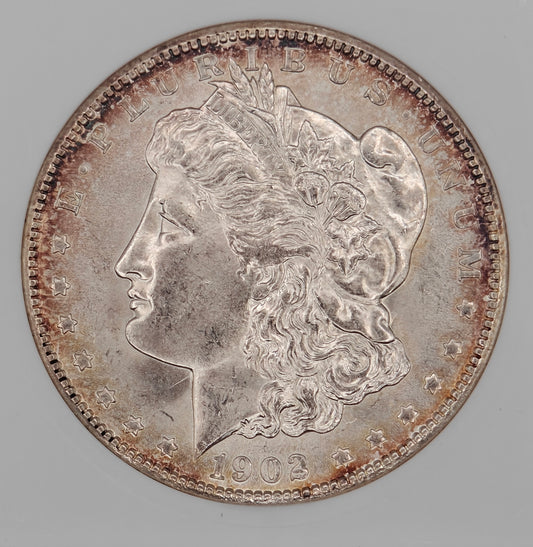 1902-O Morgan Dollar MS-64 ANACS (Beautiful Toning)