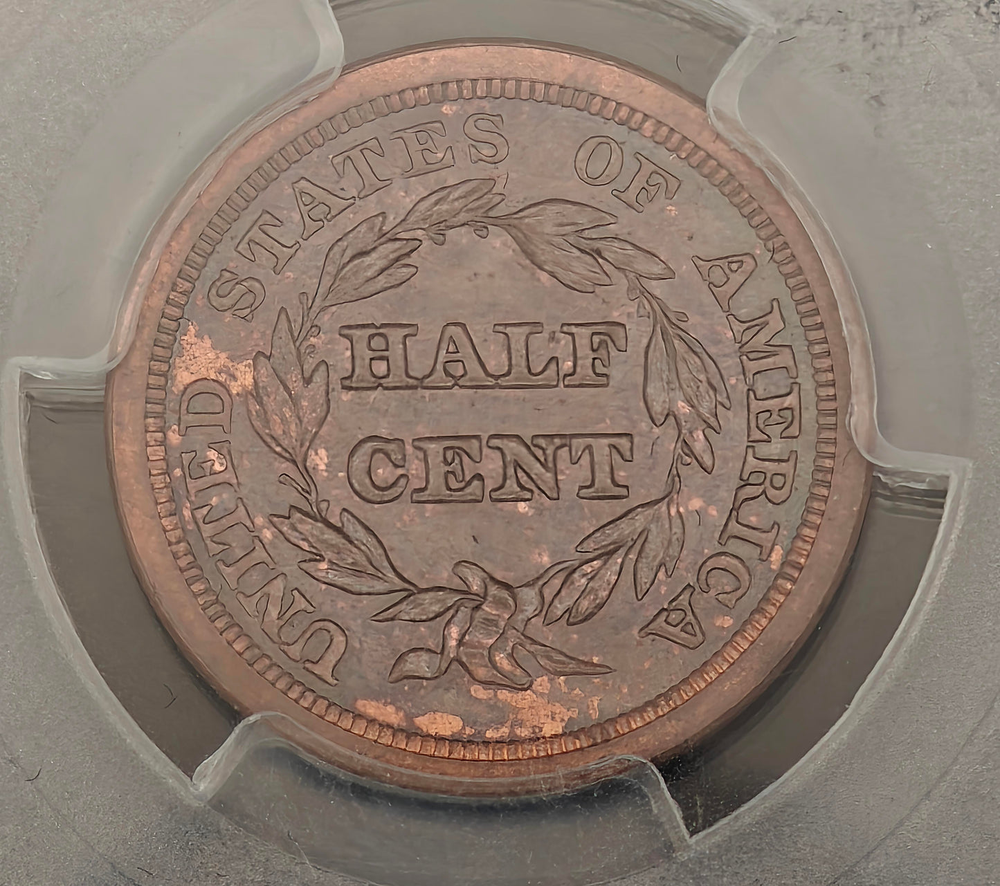 1851 Braided Hair Half Cent MS-63 PCGS (Brown)
