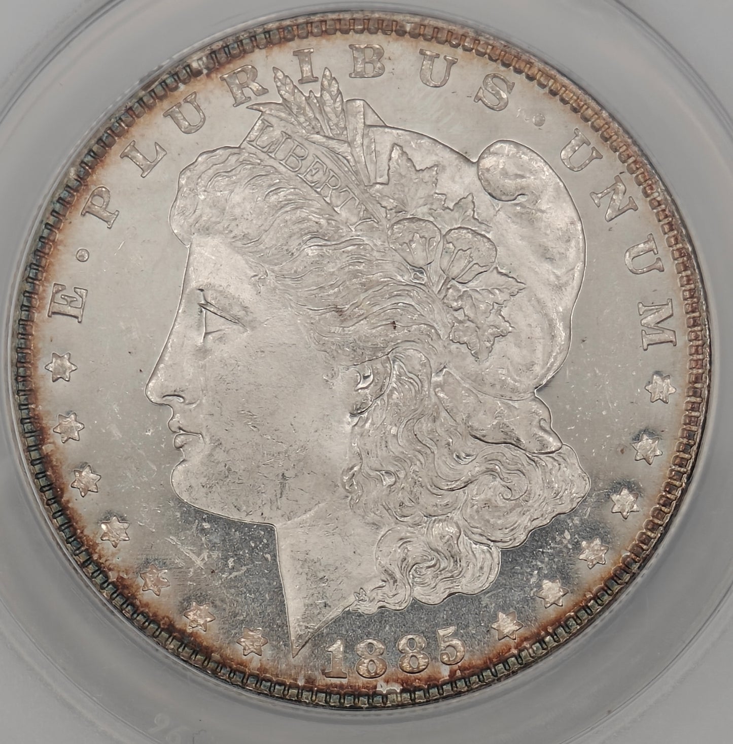 1885 Morgan Dollar MS-63 Cameo DMPL ANACS