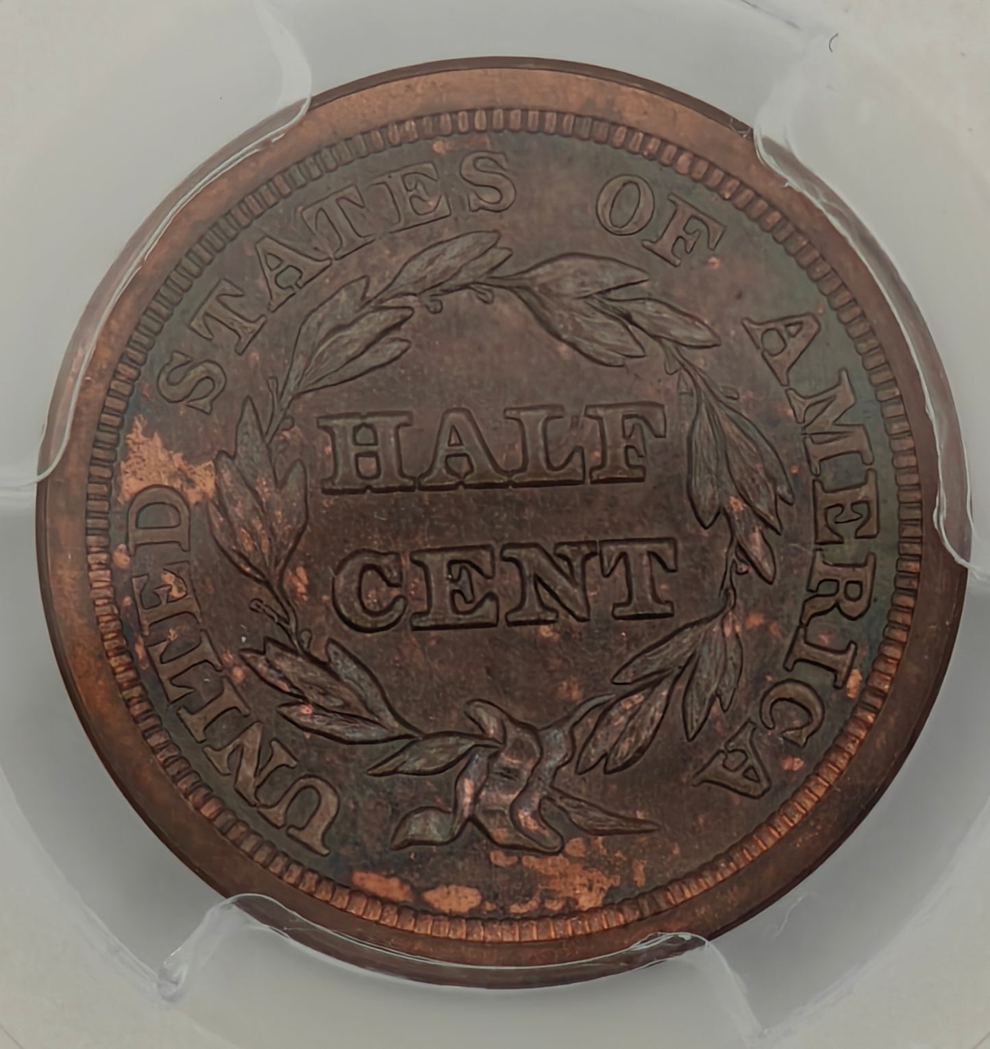 1851 Half Cent MS-63 PCGS (Brown)