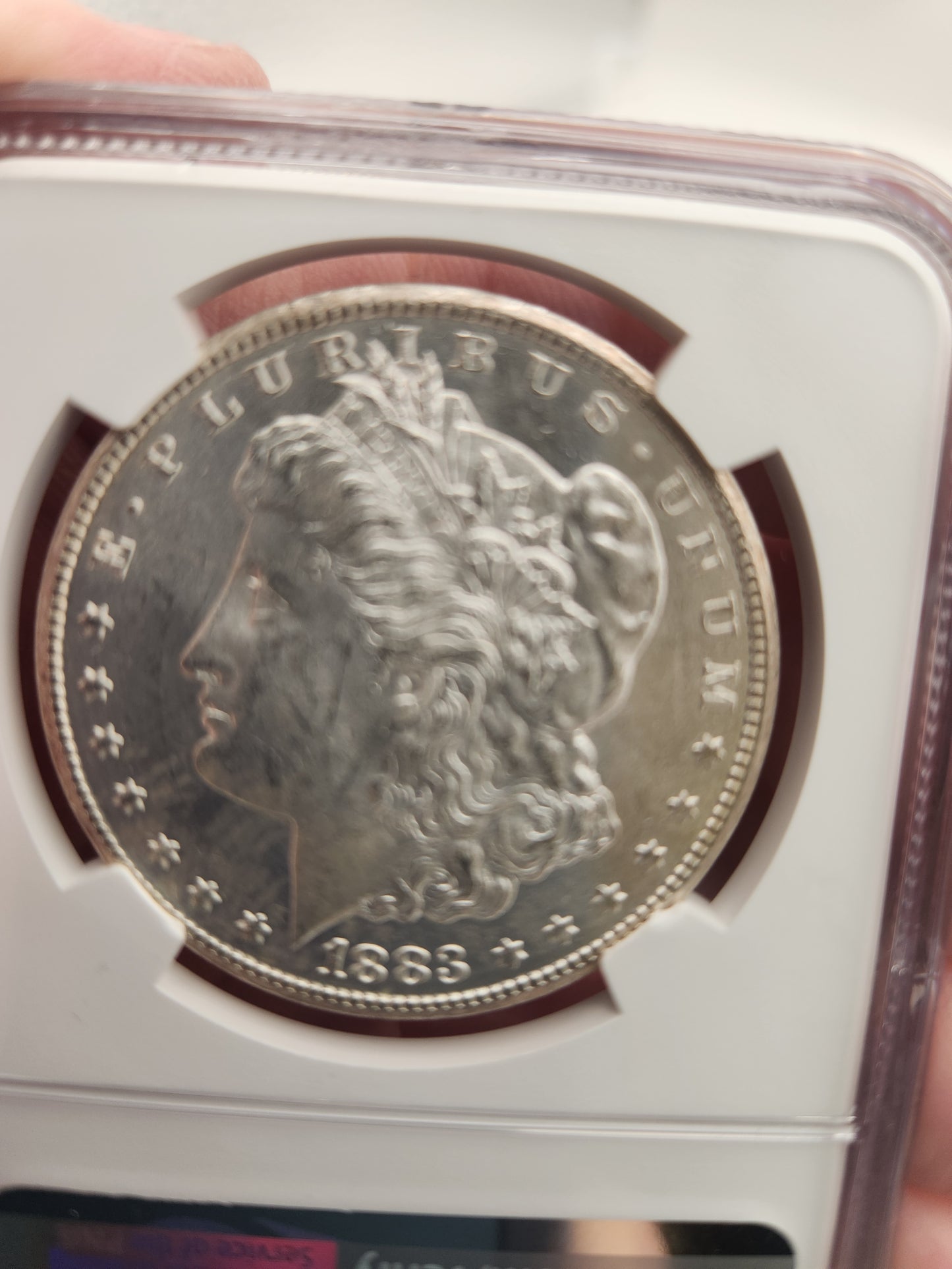 1883-CC Morgan Dollar MS-63 NGC (Beautiful Toning)