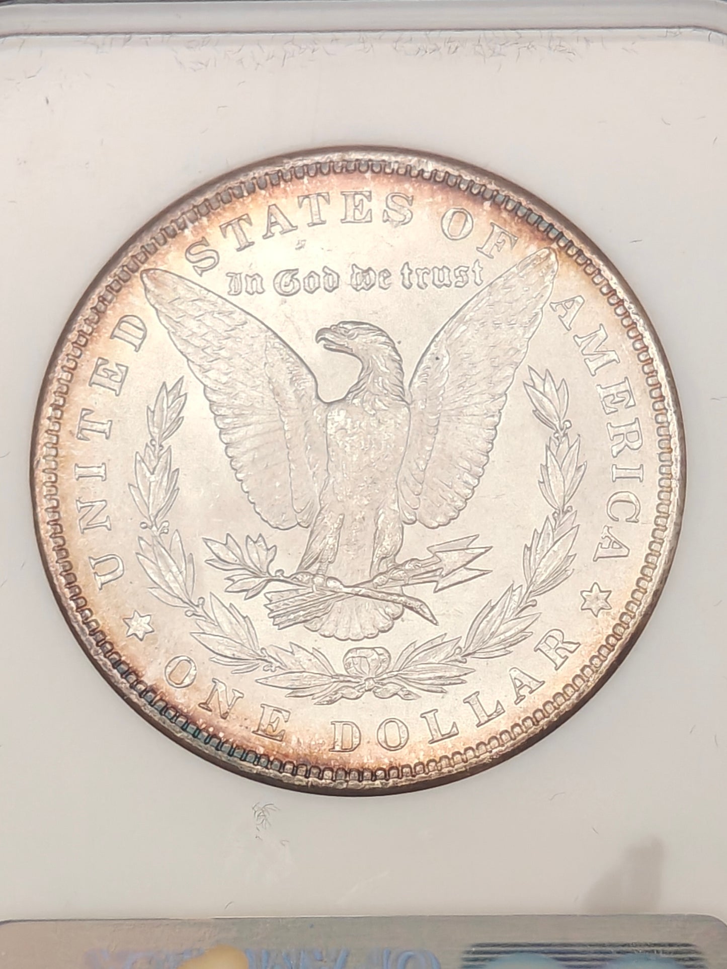 1885 Morgan Dollar MS-65 NGC (Beautiful Toning)